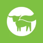 BEYOND MEAT