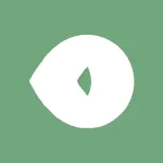 Camtek Ltd.