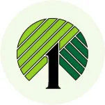 Dollar Tree